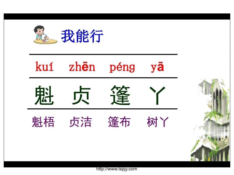 小学六年级下学期语文《山谷中的谜底》PPT课件_第5页