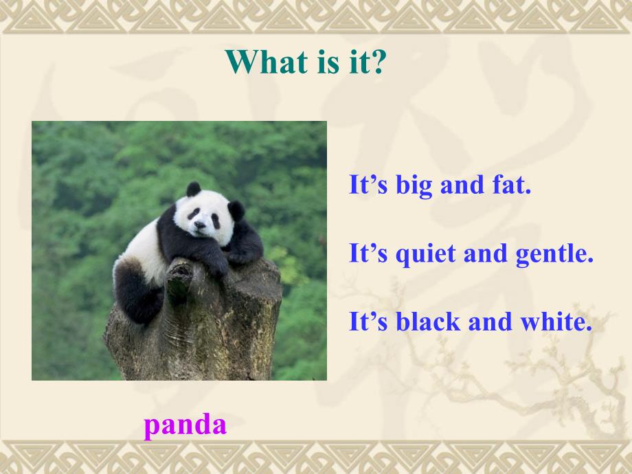 人教版(新目标)英语七年级下册Unit 5 Why do you like pandas课件2_第3页