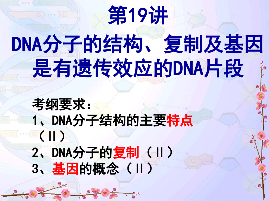 DNA分子的结构与复制汇报课课件_第2页