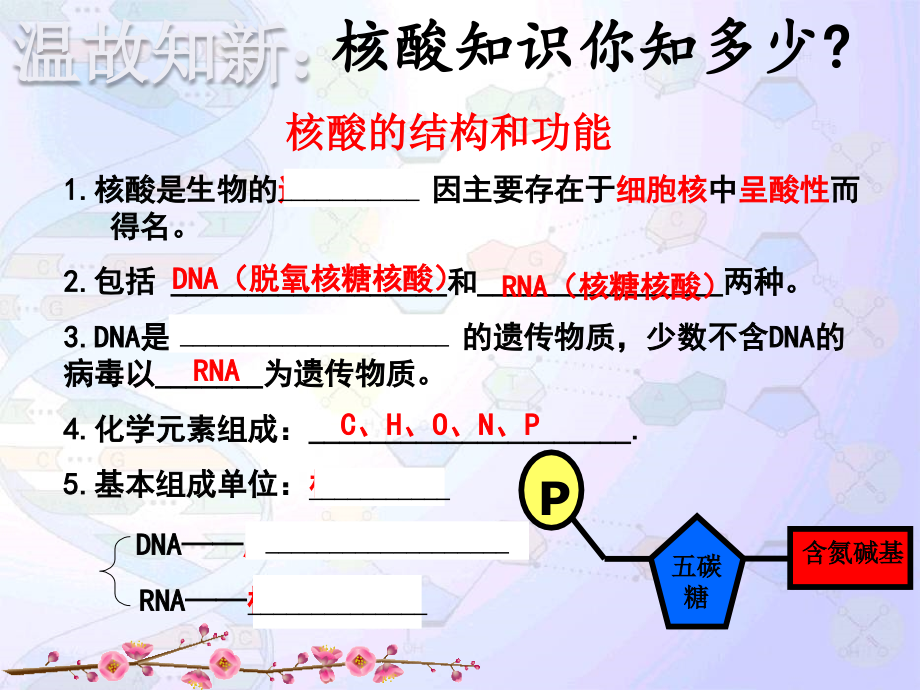 DNA分子的结构与复制汇报课课件_第3页