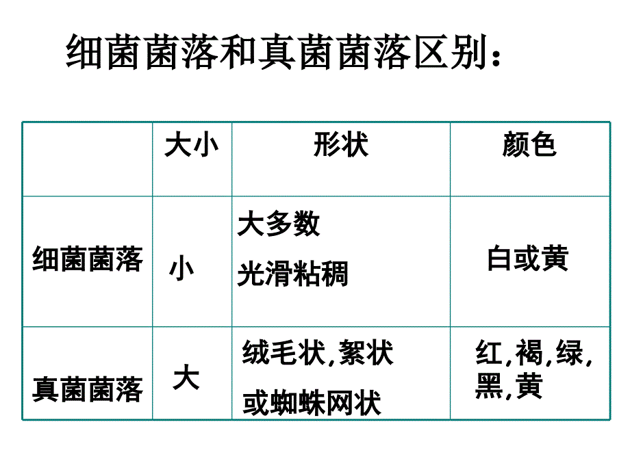 九年级生物第 四 章分布广泛的细菌和真菌课件人教版_第4页