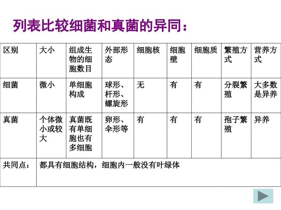 九年级生物第 四 章分布广泛的细菌和真菌课件人教版_第5页