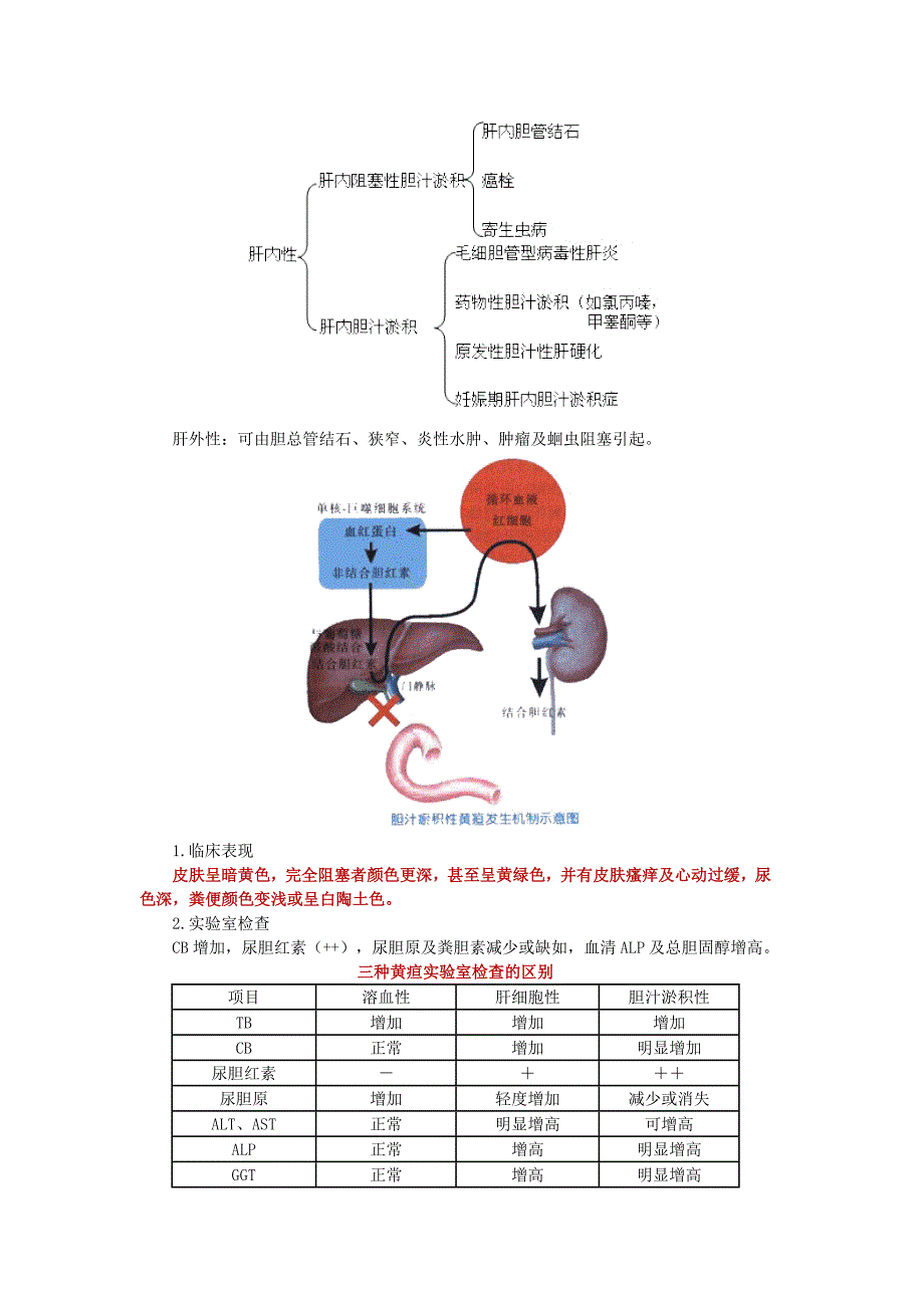 第二章病史采集——黄疸_第3页