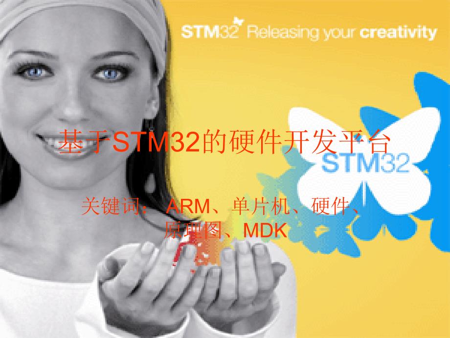 stm32硬件平台展示_第1页