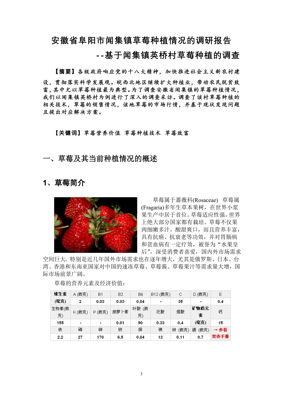 安徽省阜阳市闻集镇草莓种植调研报告_第3页