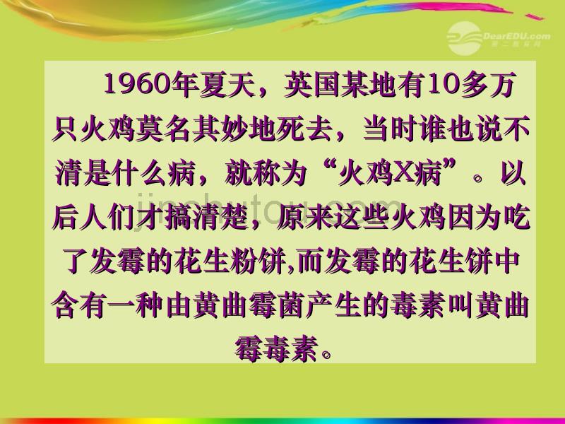 广西柳州市第十四中学八年级生物上册《真菌》课件 新人教版_第1页