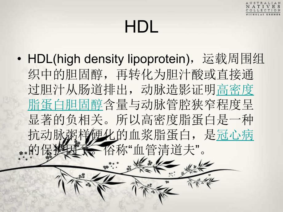 HDL和LDL胆固醇检测方法学进展和比较_第2页