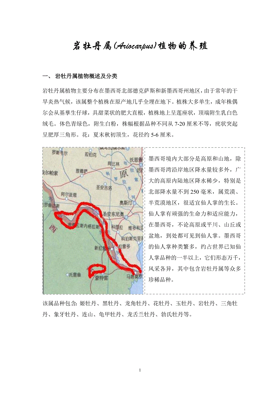 岩牡丹属植物的养殖_第1页