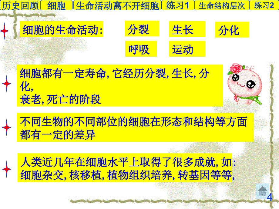 人教版教学课件生物必修一走近细胞全章课件(25张PPT)_第3页