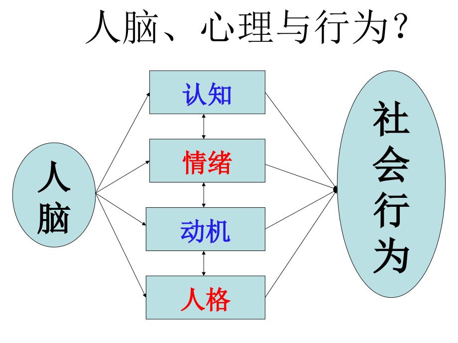 彭聃龄《普通心理学(修订版)》教师课件(PPT)_第3页