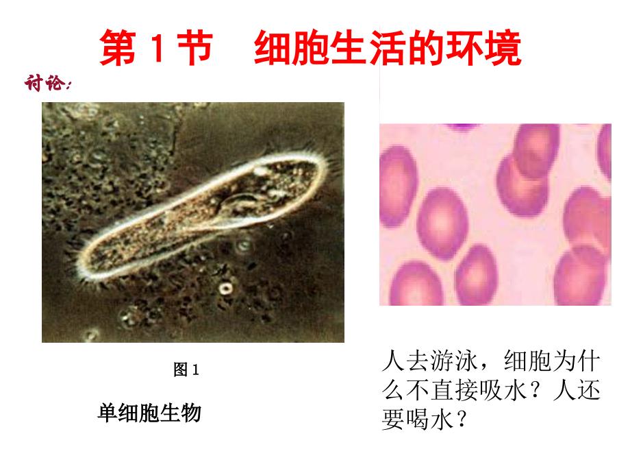 li理科必修3第一节gai_第2页