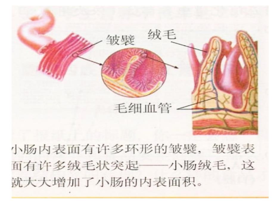 li理科必修3第一节gai_第4页