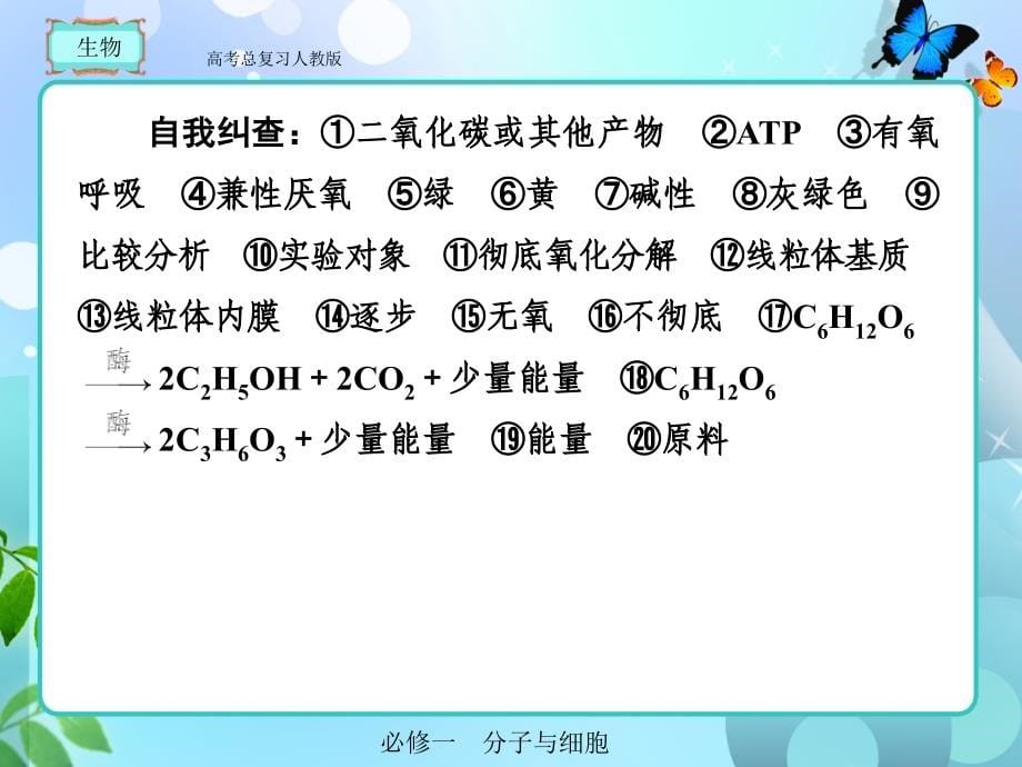 人教版  高考总复习 生物必修一5-3_第5页