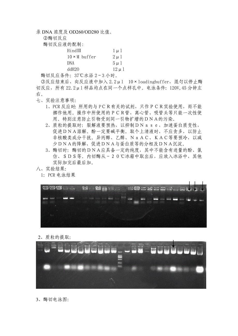 利用不同的方法筛选与鉴定转化子_第5页