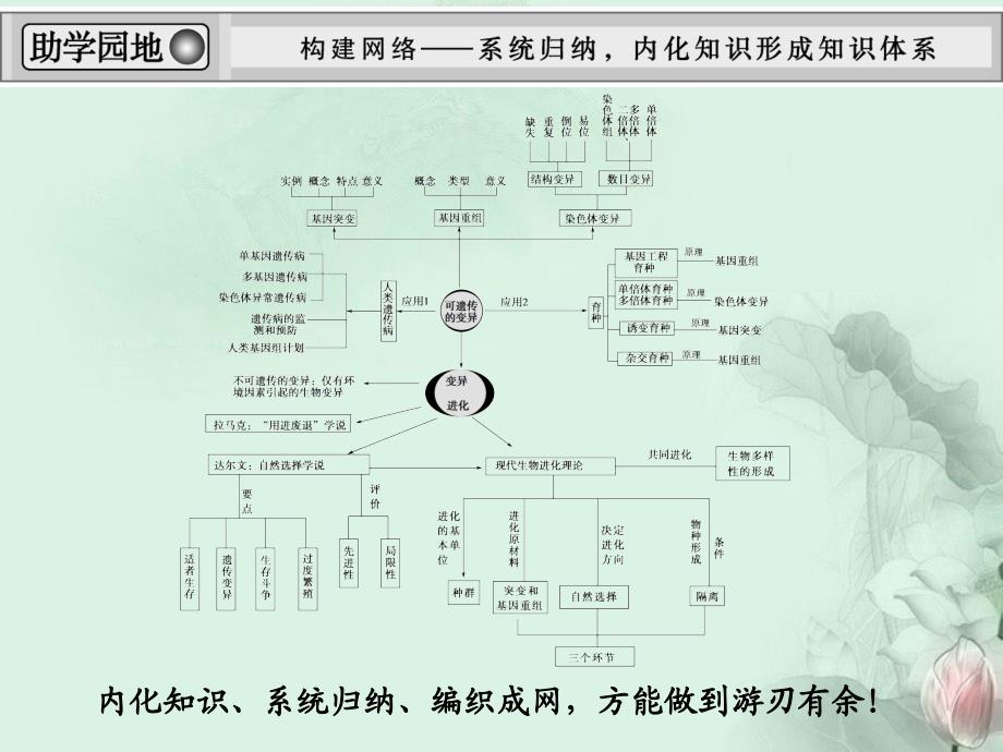 【创新设计】（四川专用）2014届高考生物一轮复习 第3单元整合提升课件 新人教版必修2_第2页