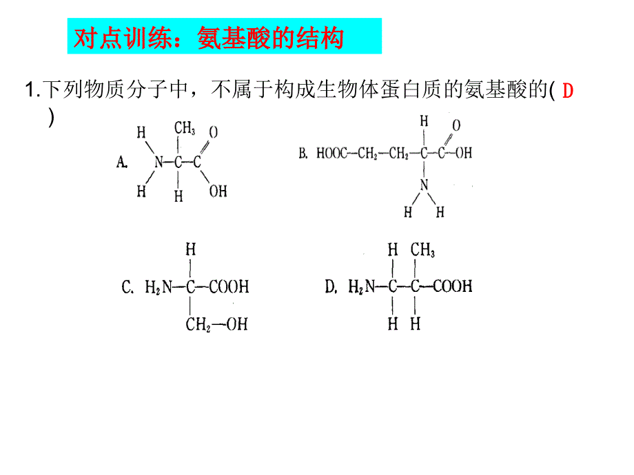 人教版教学课件生命活动的承担者—蛋白质的一轮复习课件_第4页