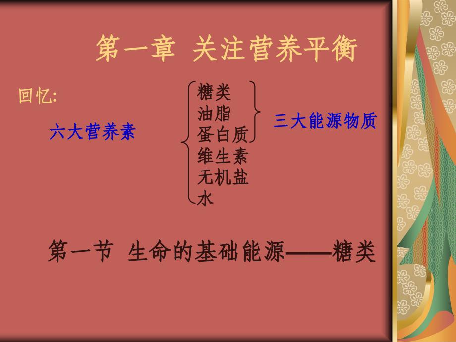 化学：1.1《生命的基础能源—糖类》(新人教版选修1)_第2页