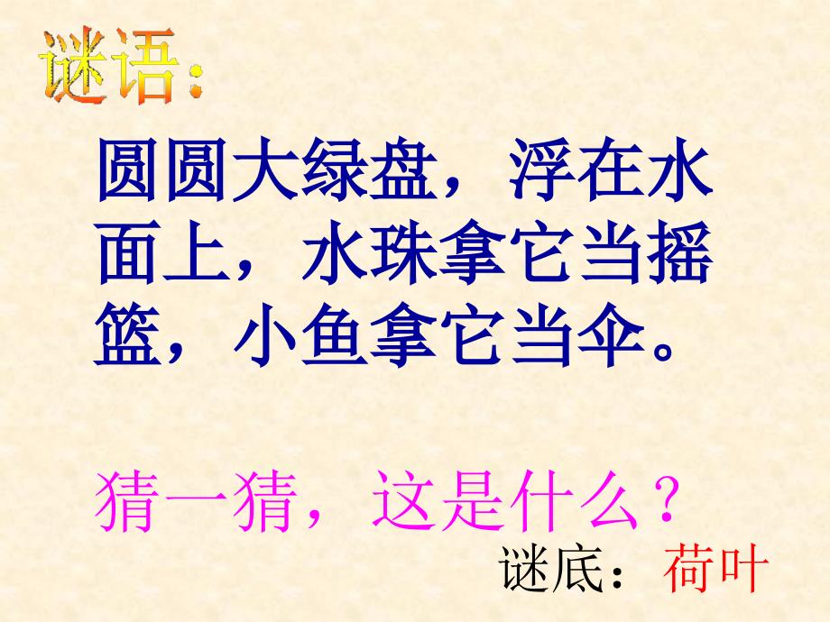 人教版一年级下册14《荷叶圆圆》上课用课件_第1页