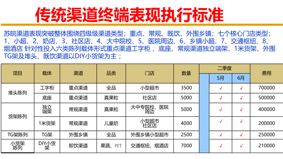 传统渠道终端执行标准._第4页