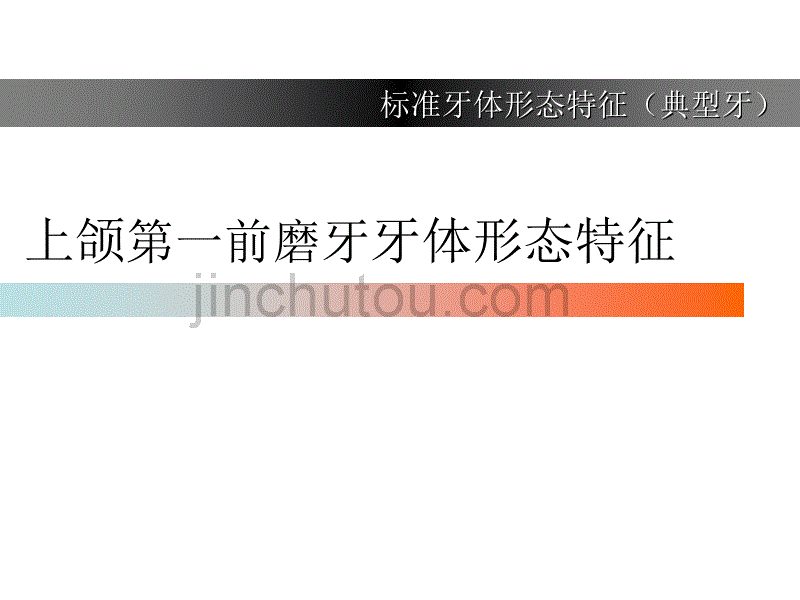 上颌第一前磨牙牙体形态简述_第1页