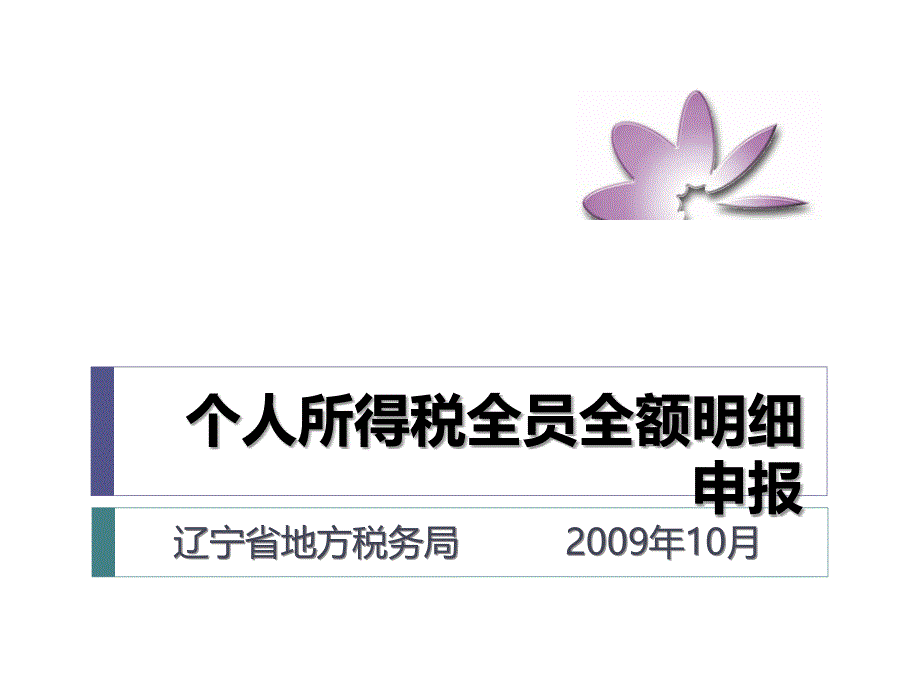 个人所得税全额明细申报课件_第1页