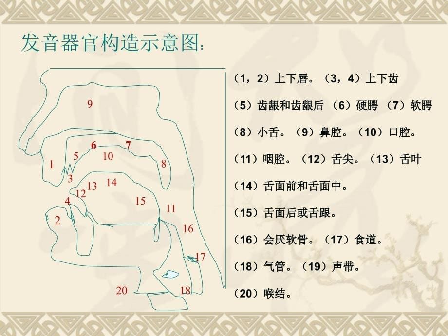 普通话水平测试培训讲座(学生)_第5页