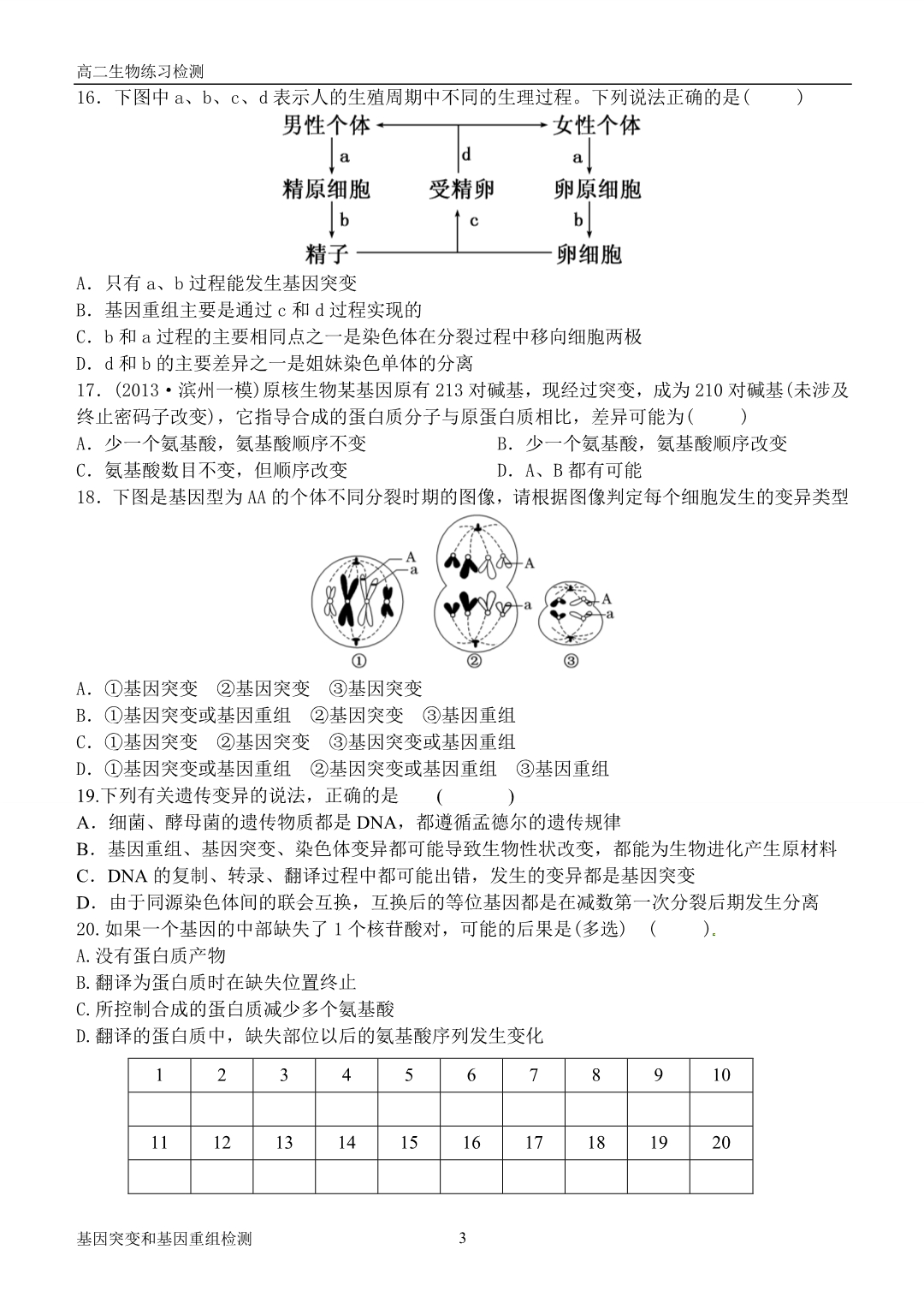 基因突变和基因重组检测_第3页