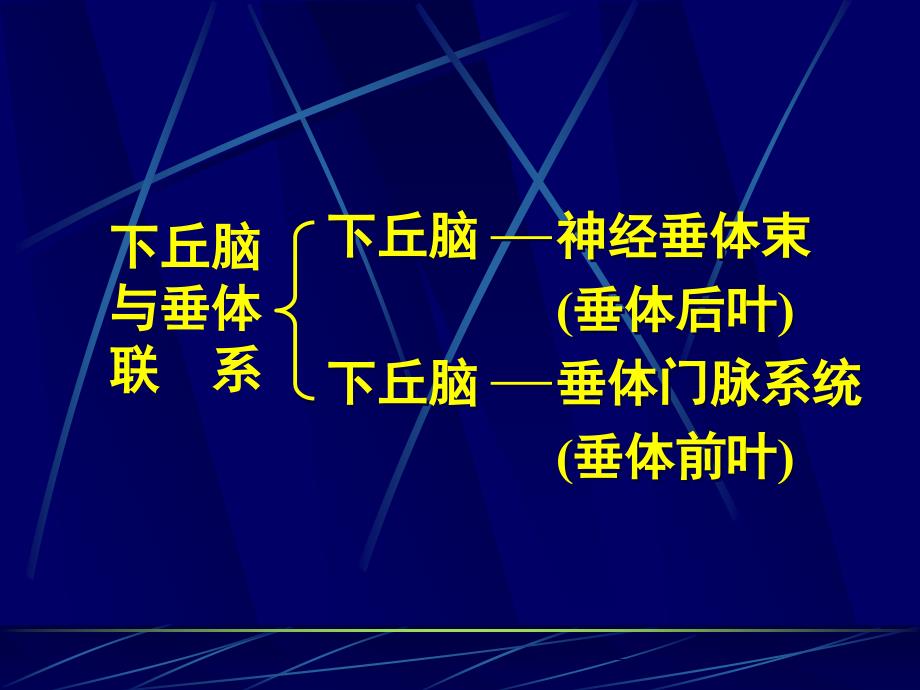 下丘脑与垂体的内分泌_第2页