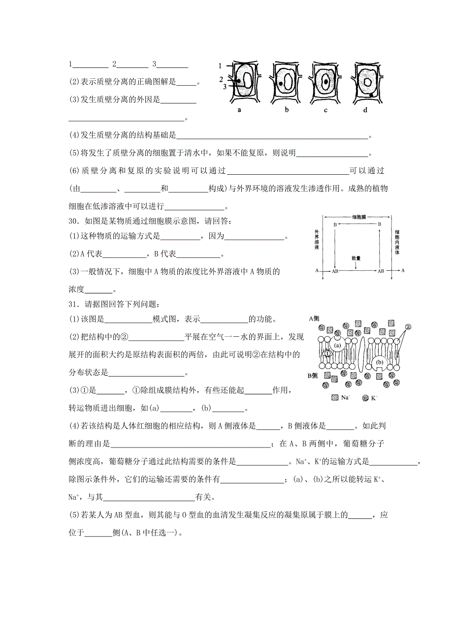 高中生物必修一第4章基础知识练习_第4页