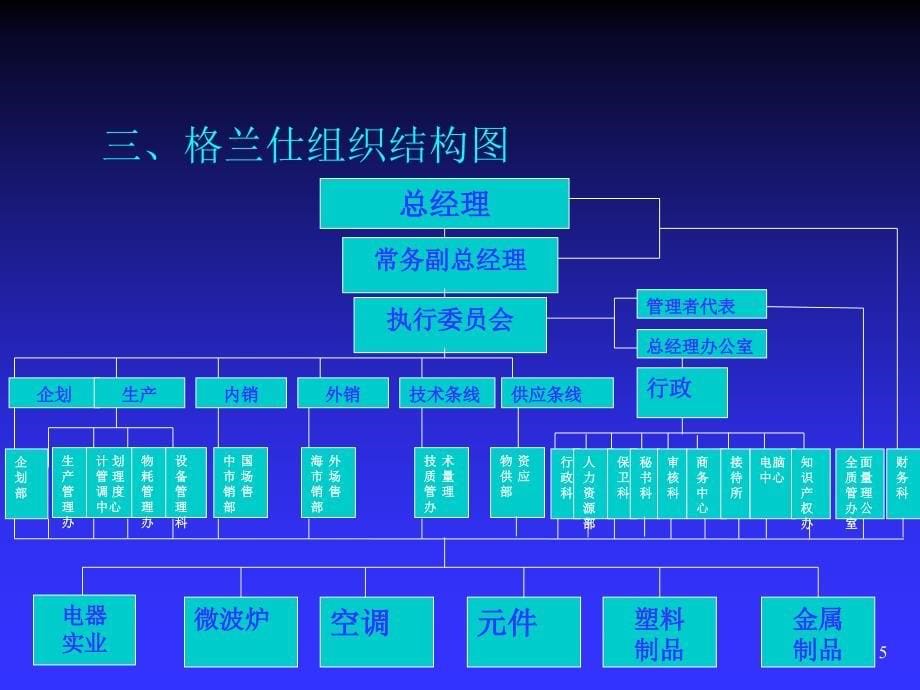 格兰仕电器的组织机构与产权制度_第5页