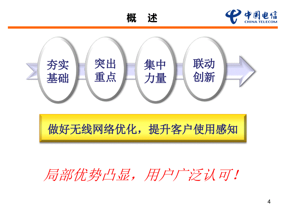 2011专题发言网络优化工作总结(柏国林)_第4页