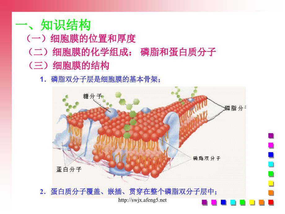 生物：2.1《细胞的结构和功能》课件1(老人教版第一册)_第4页