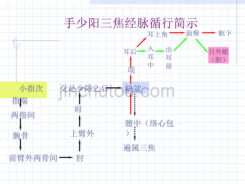 三焦经人体经络穴位图谱_第3页