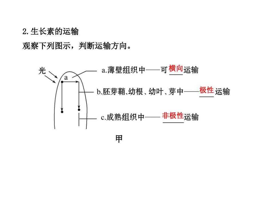 【备战2014】13版生物专题辅导与训练配套课件(江苏专用)5.1植物的激素调节_第3页