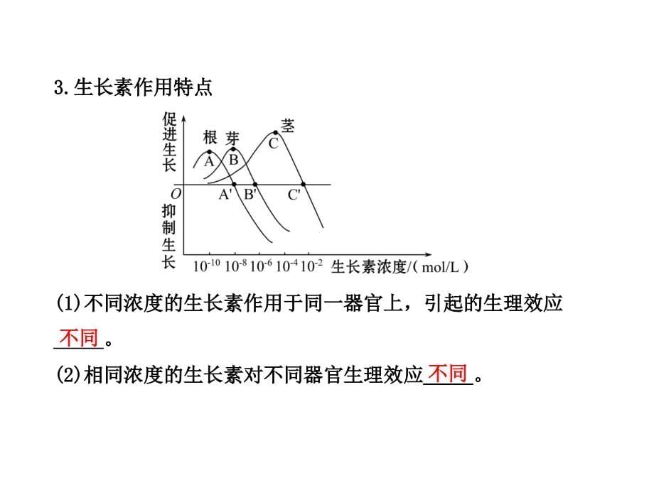 【备战2014】13版生物专题辅导与训练配套课件(江苏专用)5.1植物的激素调节_第5页