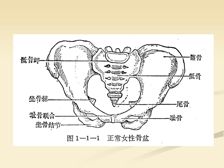 妇女生殖健康知识讲座40056_第4页