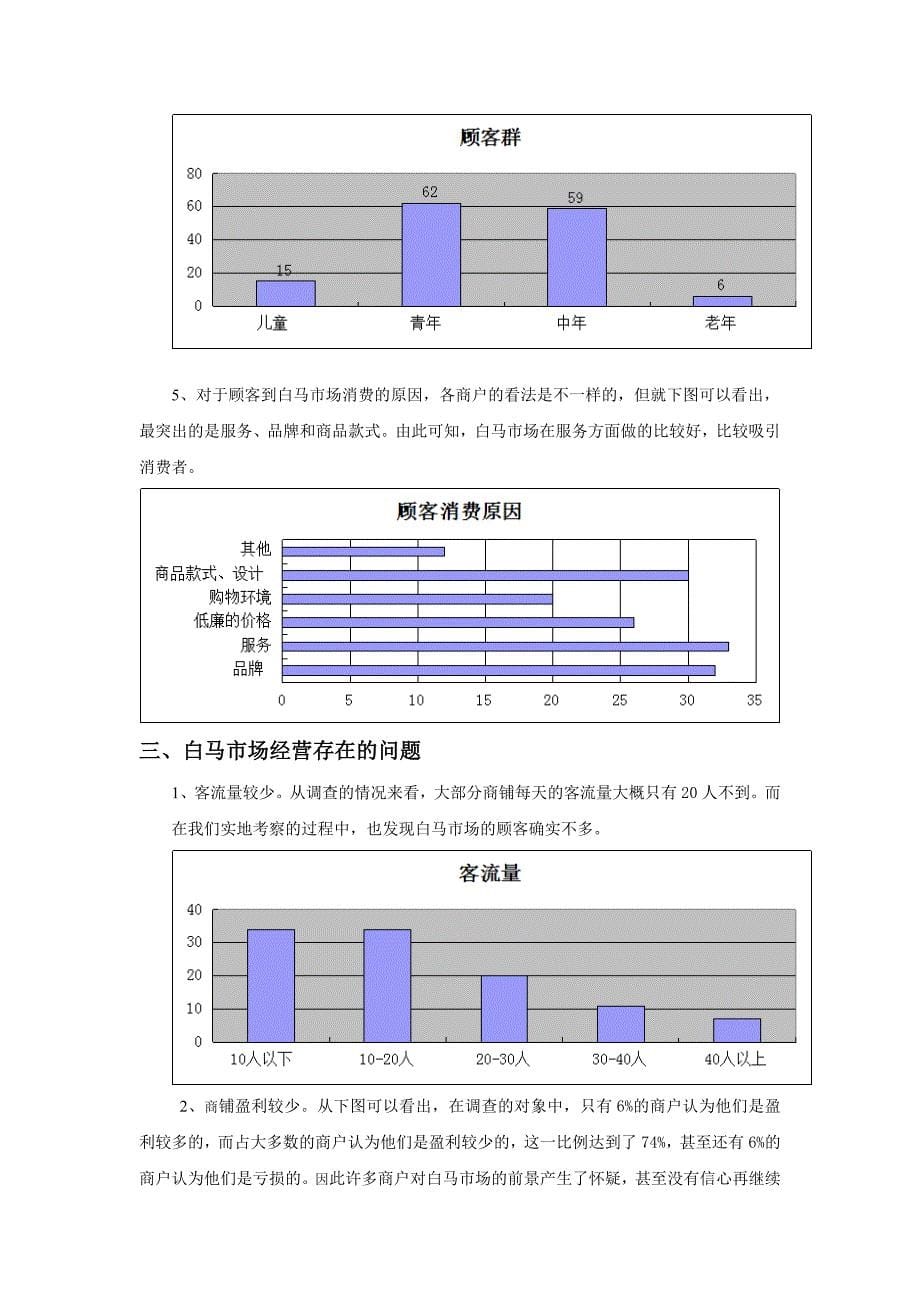 盐城白马市场经营状况的调查_第5页