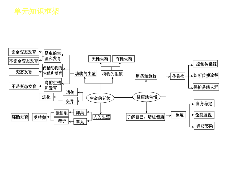 第5单元生物中考复习-新课标人教版T_第3页