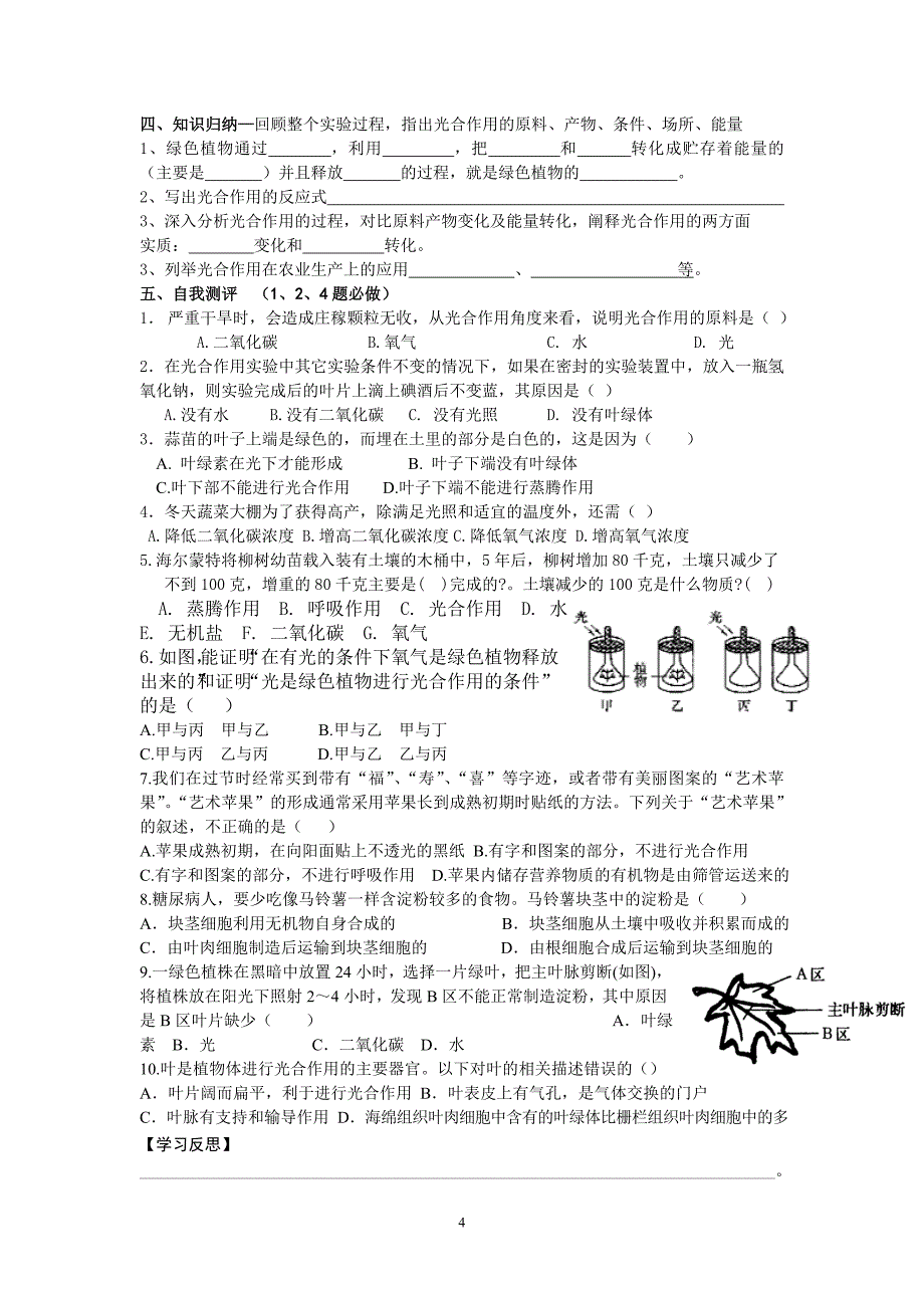 绿色植物的光合作用导学案_第4页