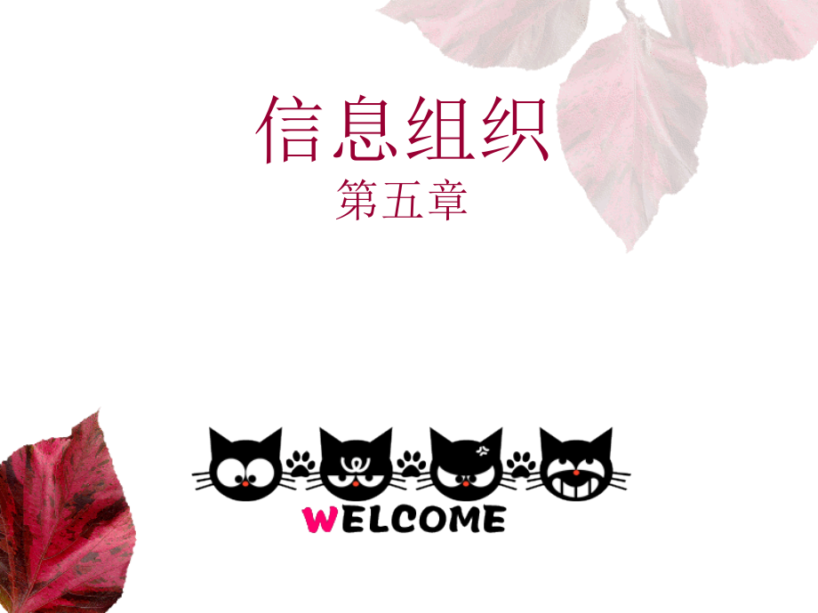 信息组织(第五章)_第1页