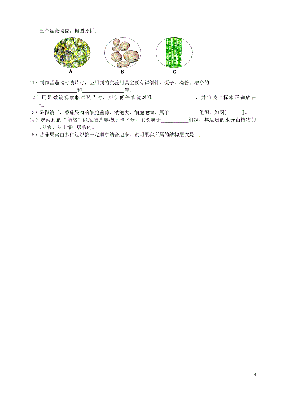 福建省晋江市永和中学2012-2013学年七年级生物上学期期中试题 新人教版_第4页