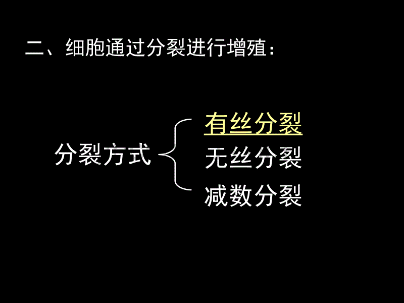 新人教版高中生物必修1细胞的增殖2ppt_第2页