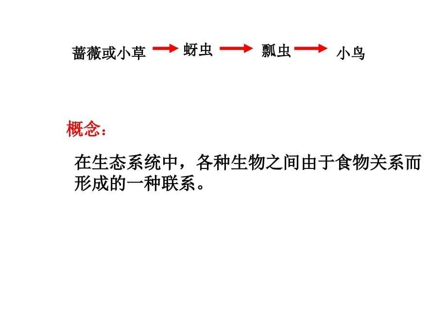 八年级生物下：第六单元第一章第二节食物链和食物网课件济南版_第5页