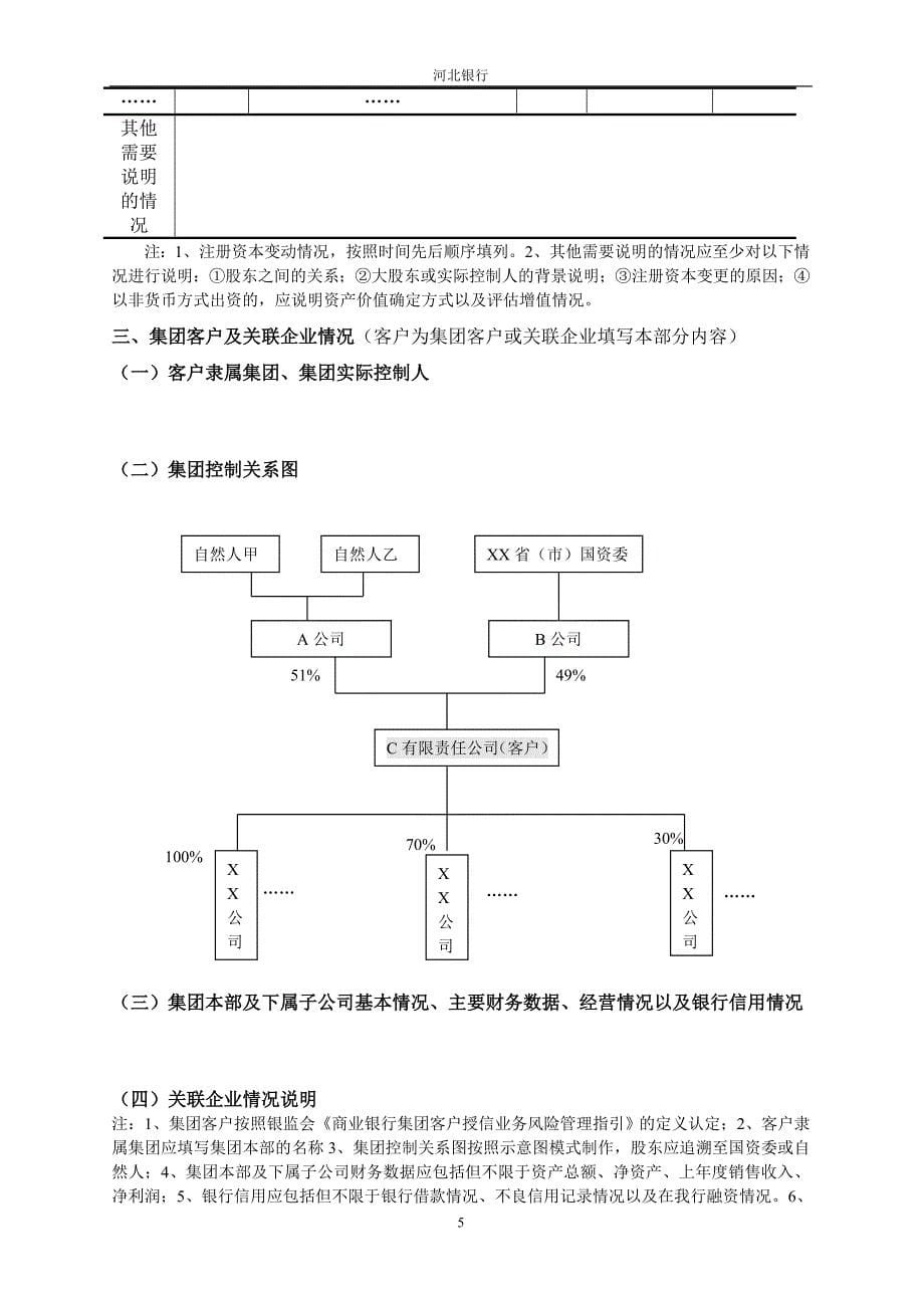 公司类流动资金类授信业务调查报告模版5-31修订70254_第5页