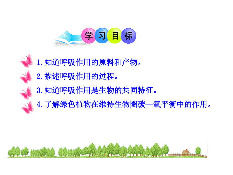 生物新人教版七上第三单元第五章第二节绿色植物的呼吸作用 课件13_第3页