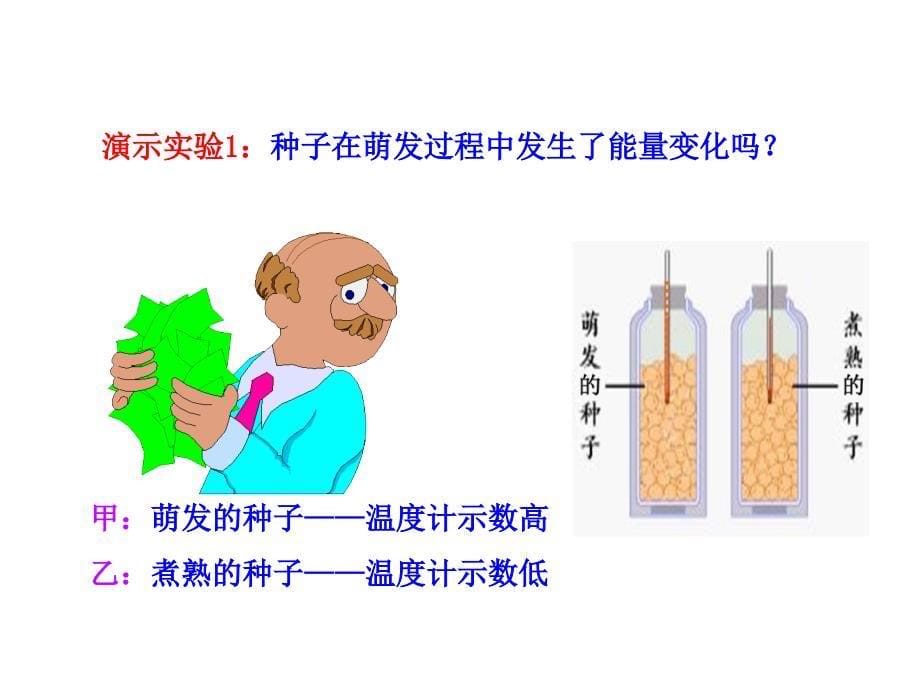 生物新人教版七上第三单元第五章第二节绿色植物的呼吸作用 课件13_第5页