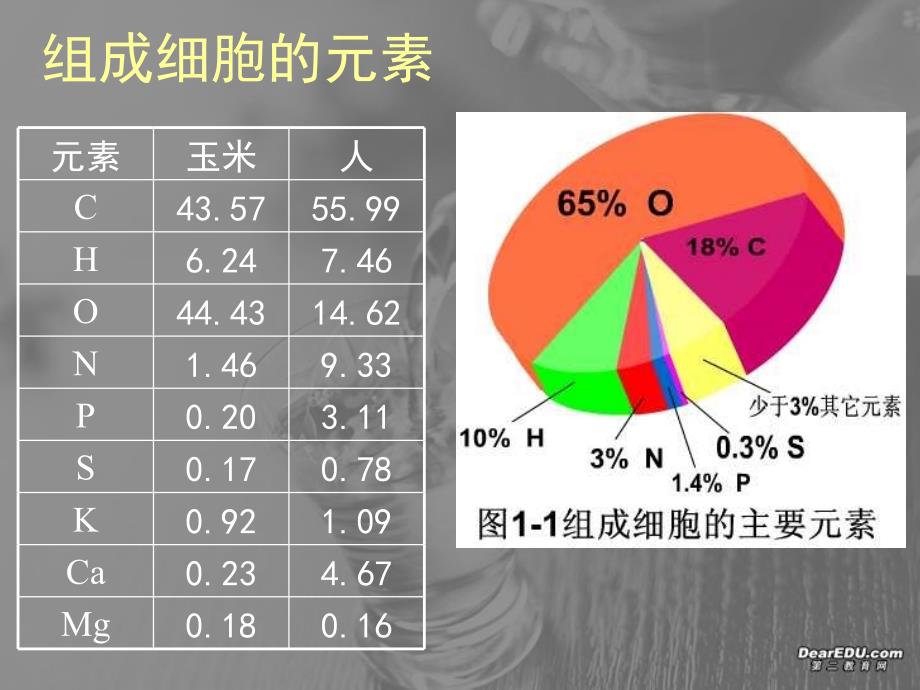 第二章 细胞中的元素和化合物一 新课标 人教版 必修1_第4页