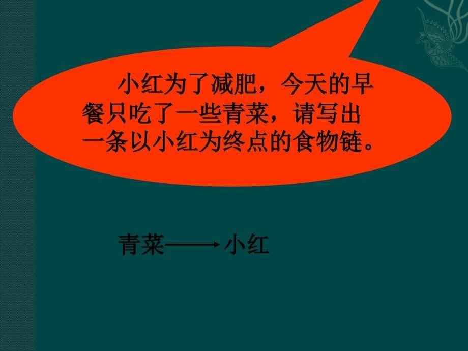 八年级生物下册 第6单元 13 能量流动和物质循环(课件)济南版_第5页