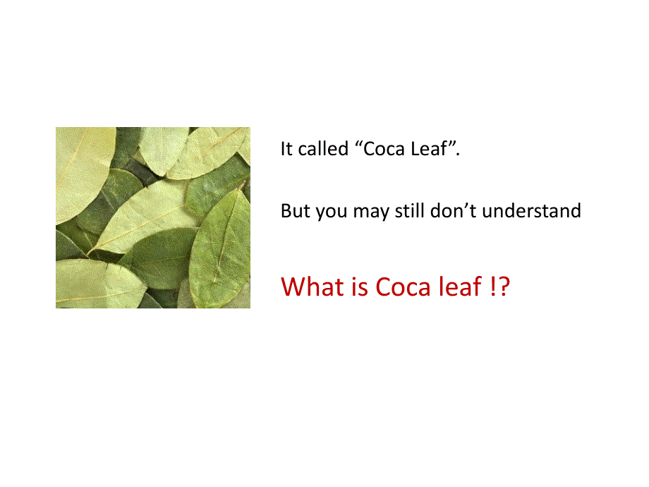World unique Coca leaf chewing gum Coca libre_第3页