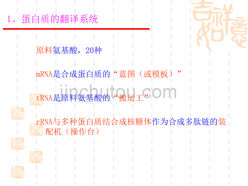 南京农大动物生物化学课件15_第4页